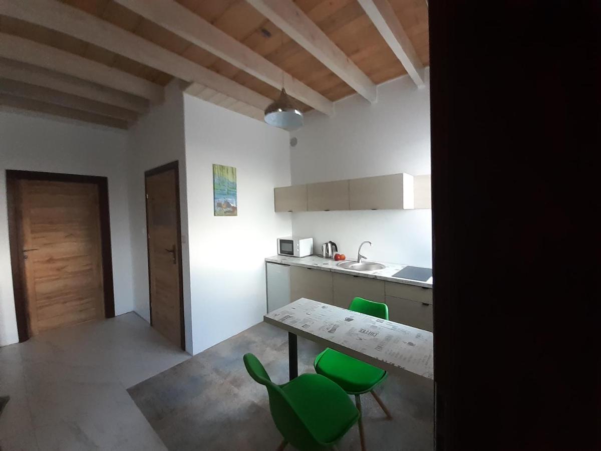 Apartamenty Roza Wiatrow Солец-Здрой Екстериор снимка